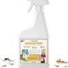 61CKtNrYKdL.__AC_SX300_SY300_QL70_ML2_ BugPursuit Indoor Insect Spray Review Fast Plant-Based Pest Control Solution