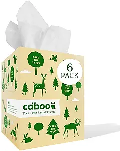 61IrtQeoLFL.__AC_SX300_SY300_QL70_FMwebp_ Sustainable Facial Tissue Review Caboo Tree Free Ultra Soft and Eco Friendly Box