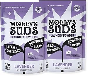 61foRmkHyL._AC_SY300_SX300_ Mollys Suds Original Laundry Detergent Powder Review Powerful Clean for Sensitive Skin