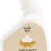 61skF2YElL._AC_SL1500_ Fresh Nest Egg Wash Spray Review Best Natural All Purpose Cleaner by Good Salt