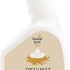 61skF2YElL._AC_SY300_SX300_ Fresh Nest Egg Wash Spray Review Best Natural All Purpose Cleaner by Good Salt