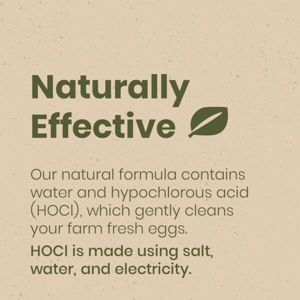 71L8al0A1wL._AC_SL1500_ Fresh Nest Egg Wash Spray Review Best Natural All Purpose Cleaner by Good Salt