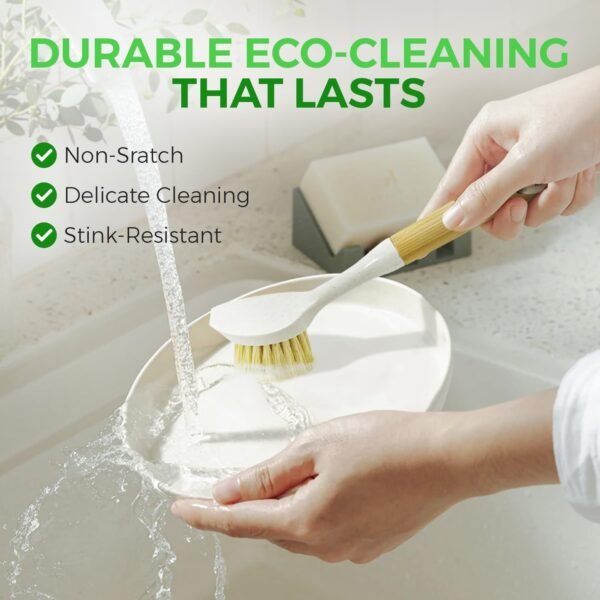 71caBxSPCNL._AC_SL1500_ Plastic Free Bamboo Dish Scrubber Brush Set Review AIRNEX Eco Friendly Cleaning