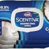 71qFlLrMxL._AC_SY300_SX300_ Clorox Scentiva Disinfecting Wipes Review Best Coconut Waterlily Scented Cleaning Wipes