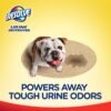 81CTUf0hlbL._AC_SL1500_ Resolve Carpet Cleaner Review Effective Pet Stain And Odor Remover Solution