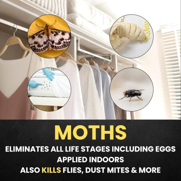 81GNOE1Qg2L._AC_SL1500_ BugPursuit Indoor Insect Spray Review Fast Plant-Based Pest Control Solution