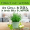 81rOUbmfSL._AC_SL1500_ Mrs Meyers Clean Day Multi Surface Cleaner Fresh Cut Grass Review Reveals All